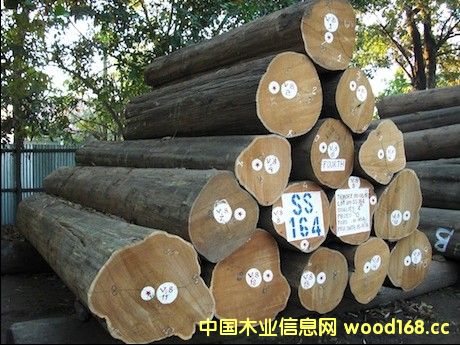 ��ľ�Ј����m(x��)�������M(j��n)�����������L