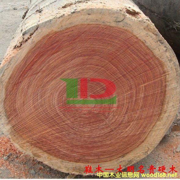 ľ�Ę�NԔ��--Ьľ  �׷Q���tõ�塢õ����Rľ���t��ľ