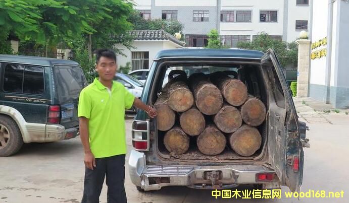 ���ό��������@�Ƿ�͵�\ľ��179.75������