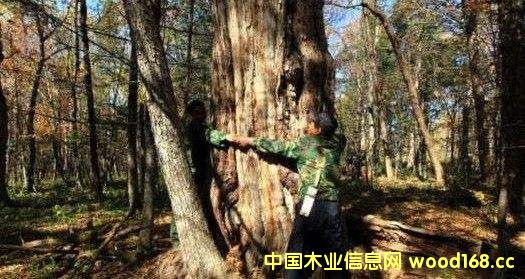 ���ľ��2016�ꌦ(du��)�Ї��������L�˰ٷ�֮��ʮ