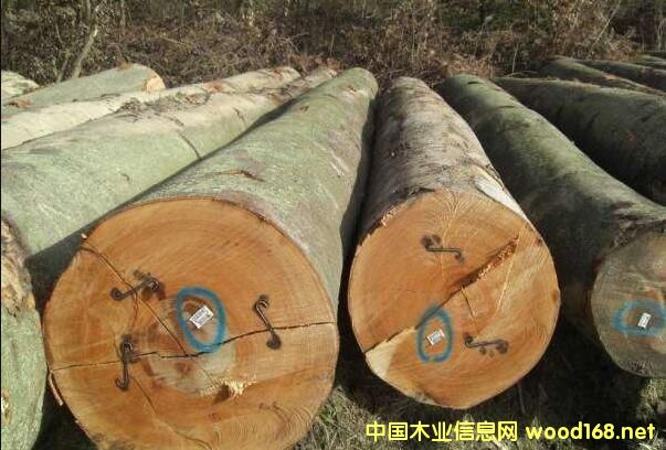 �W��ľ�ĺ��\�M�����������Ƿ�߀�и�����(y��u)����