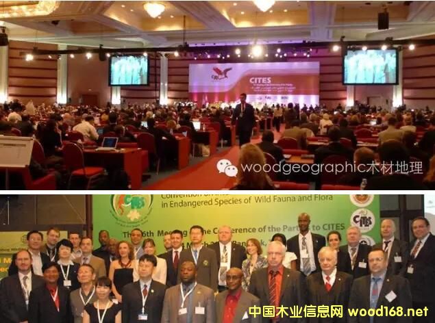 CITES���������Ϣ��ȫ���S̴�ٱ�����lΣ����