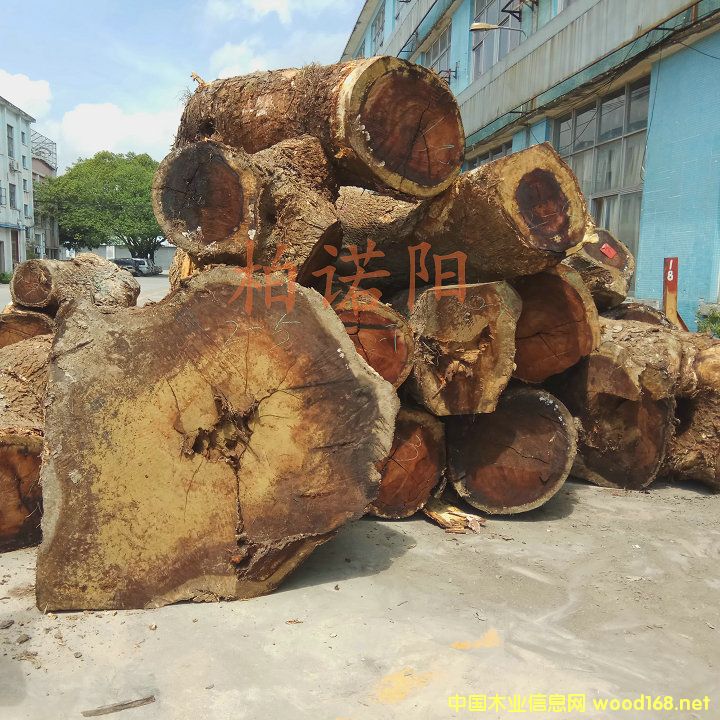 ������ľԭľ