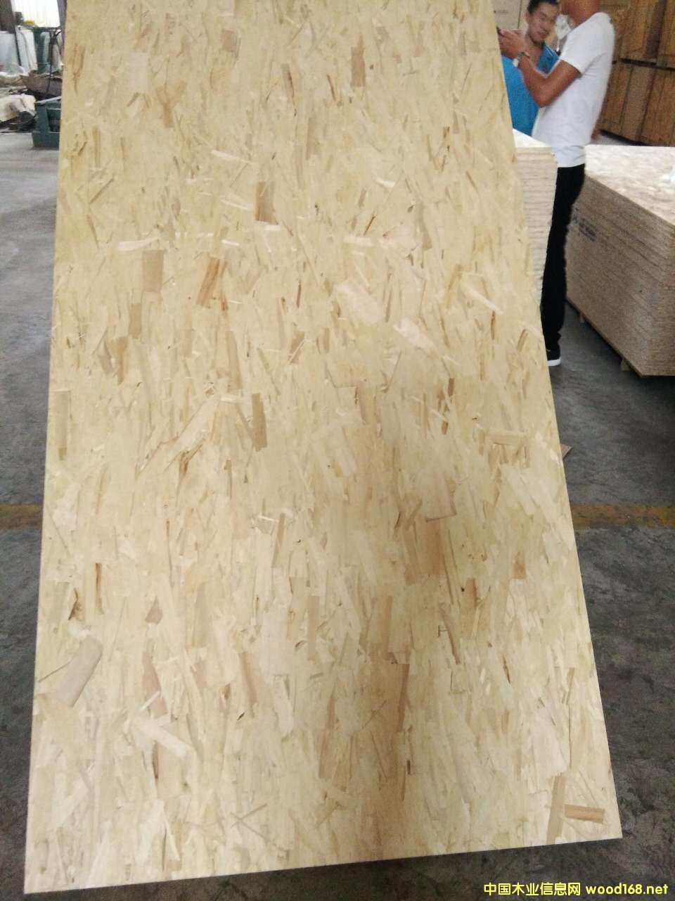 �����oȩ���߶�OSB