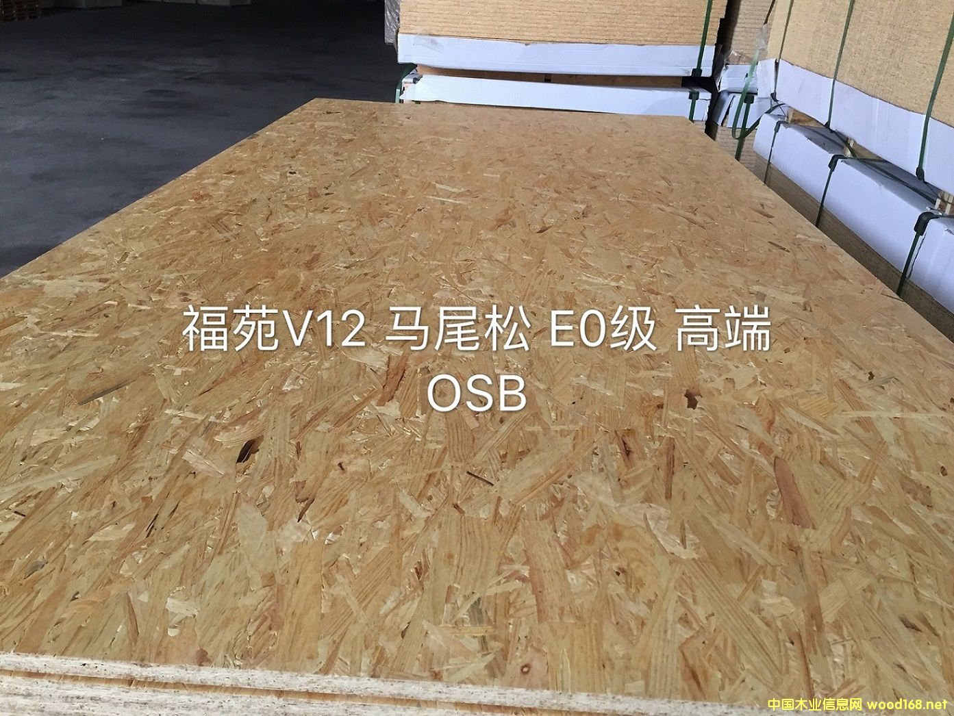 �Rβ��OSB�W�ɰ�