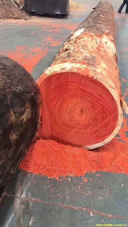 �t������������̴��Ԕ��(x��)��B