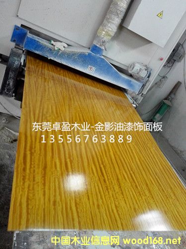 0.3��ӰľƤ����Ӱ��Ƥ����Ӱ�����Ԕ����B