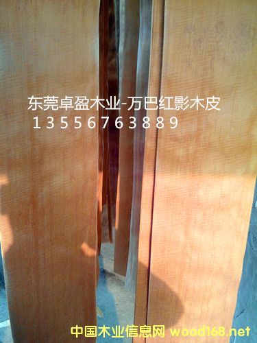 �tӰľƤ10�z��20�z��30�z��Ԕ����B