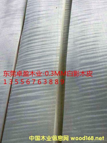 0.3��ӰľƤ����ӰľƤ�����Ԕ����B