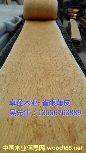 ��ľȸ��ľƤ��Ԕ����B