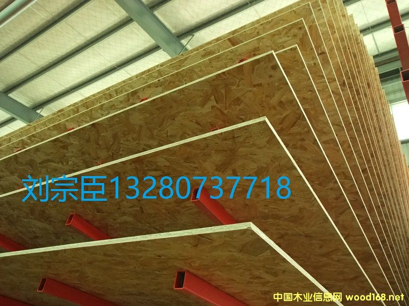 �����W�ɰ�