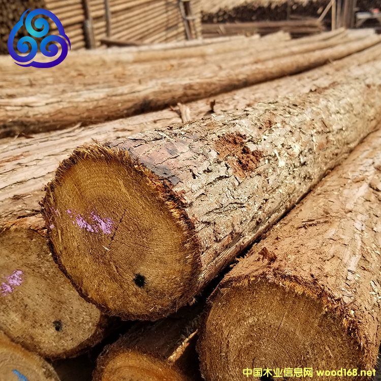 ľ����Ԕ����B