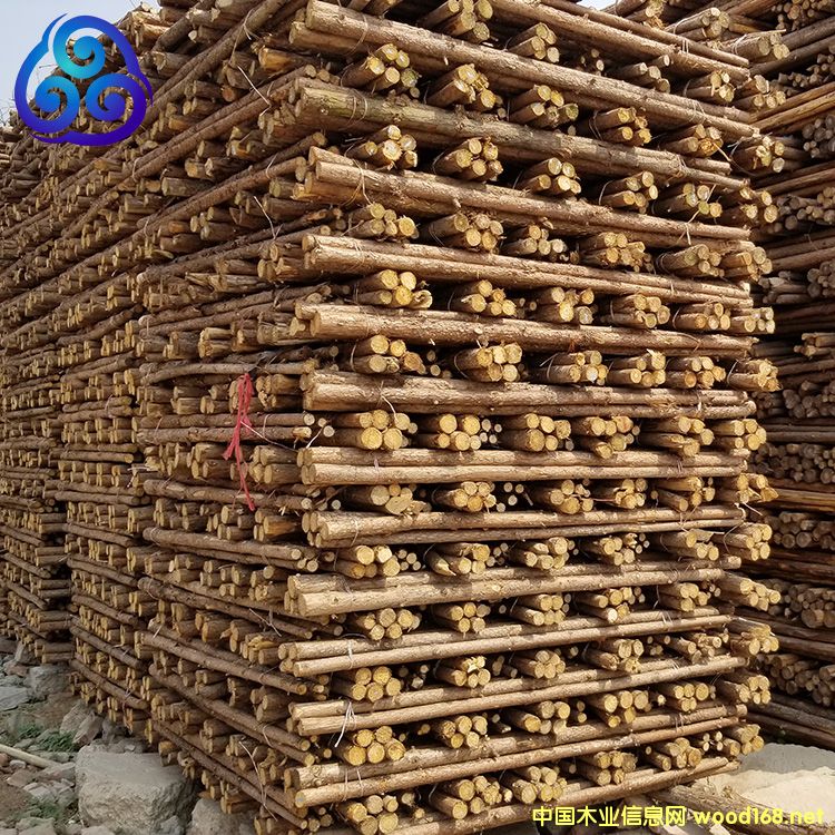 ֧�ΗU��Ԕ����B