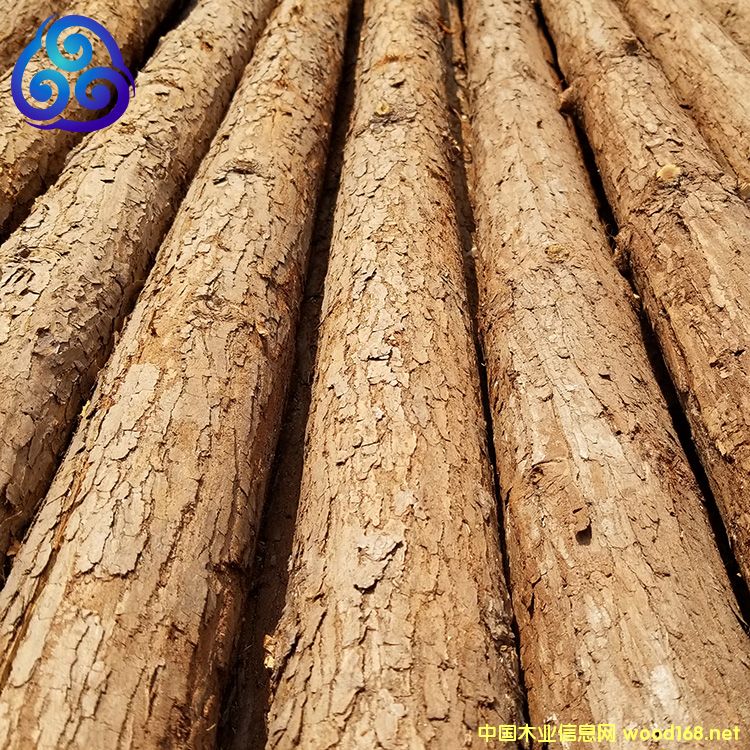 [��] ���ɳ�Uֱ��������̷��o(h��)����ɼľ�UԴ�^؛