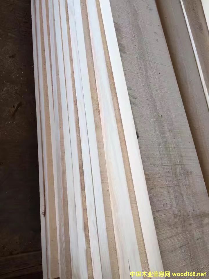 ������(y��u)�|(zh��)��Ϟ?z��i)?><br>
                      <font size=3><b>������(y��u)�|(zh��)��Ϟ?z��i)?/b></font></a></div>
                  </td>
                </tr>
                 
                <tr> 
                  
                <td height=