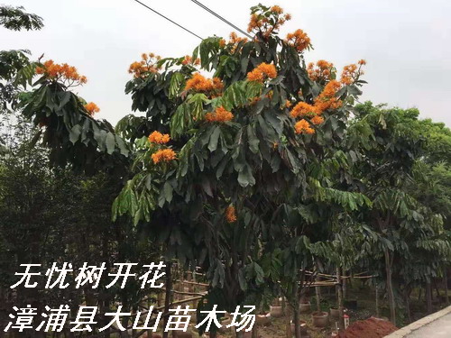 �o(w��)�n��(sh��)�o(w��)�n����Ԕ��(x��)��B