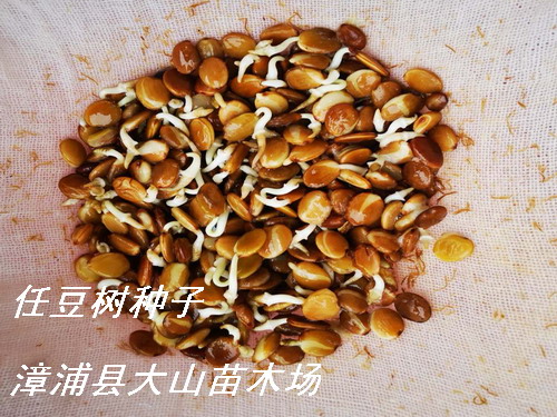 �ζ���(sh��)�N�������vľ��Ԕ��(x��)��B