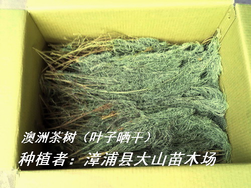 ���޲��(sh��)�~����ȡ����ԭ�ϵ�Ԕ��(x��)��B