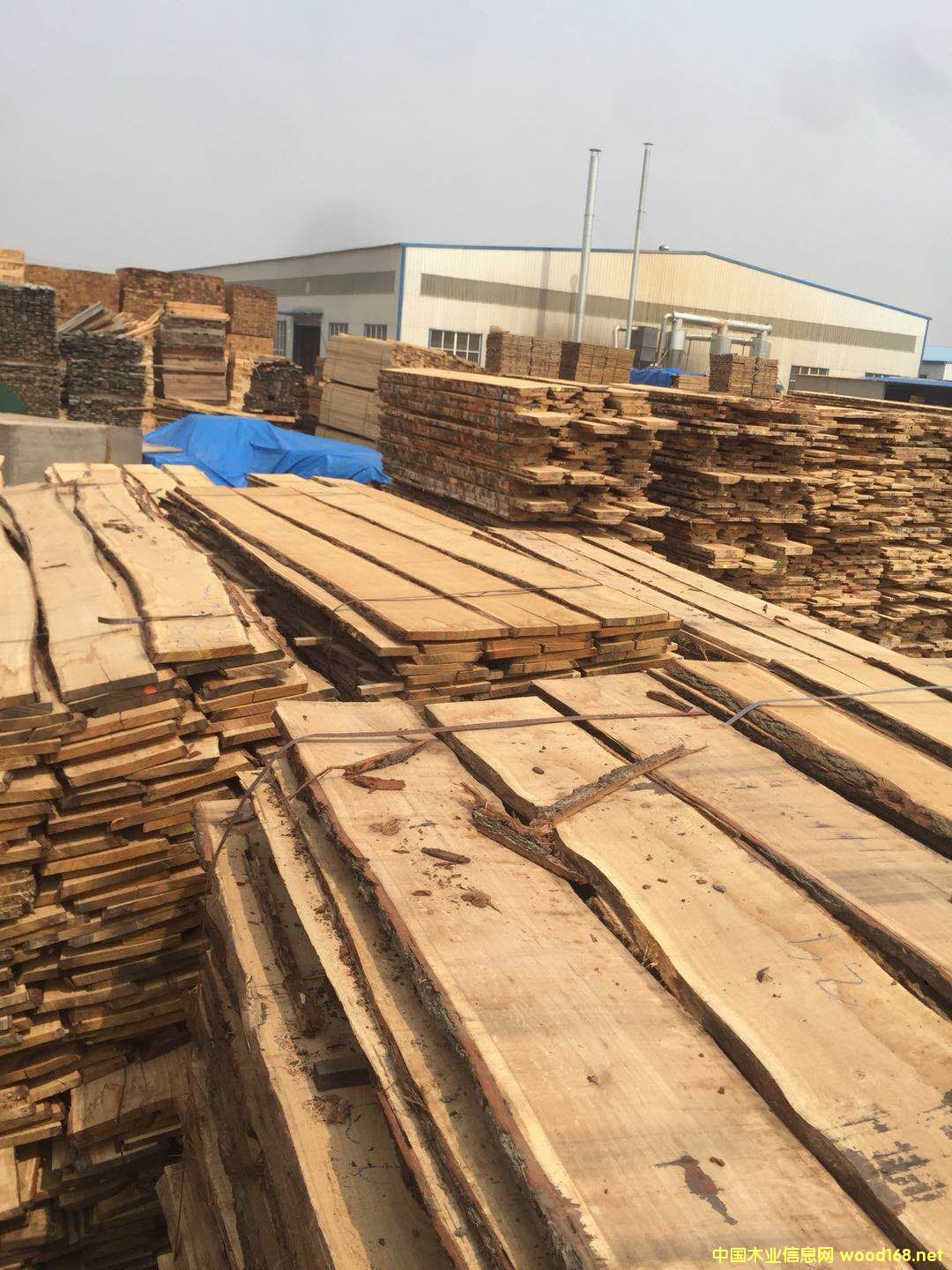 [��] ��(gu��)�����ɰ��