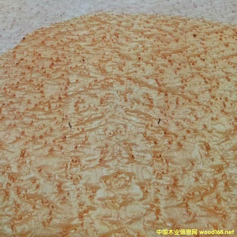  ��Ȼ��ľȸ��ľ����