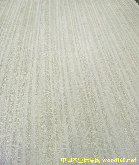 Ⱦɫ����˹ľ�����Ԕ��(x��)��B