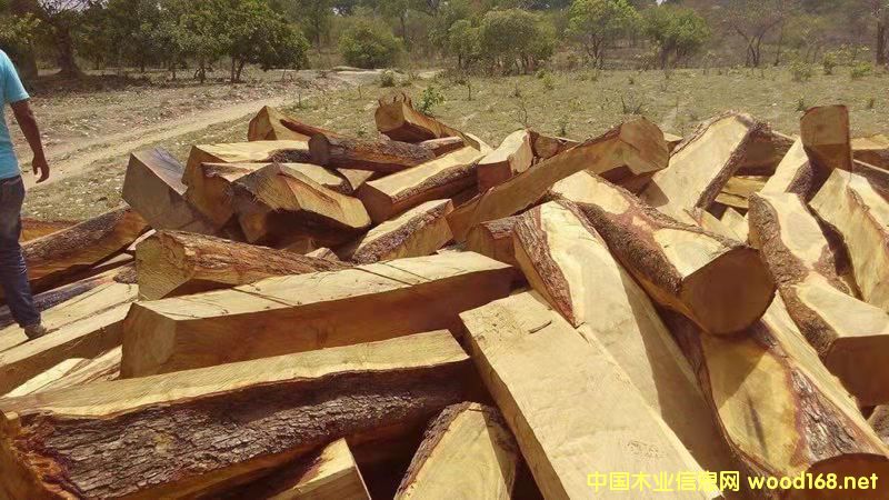 �����̴/������