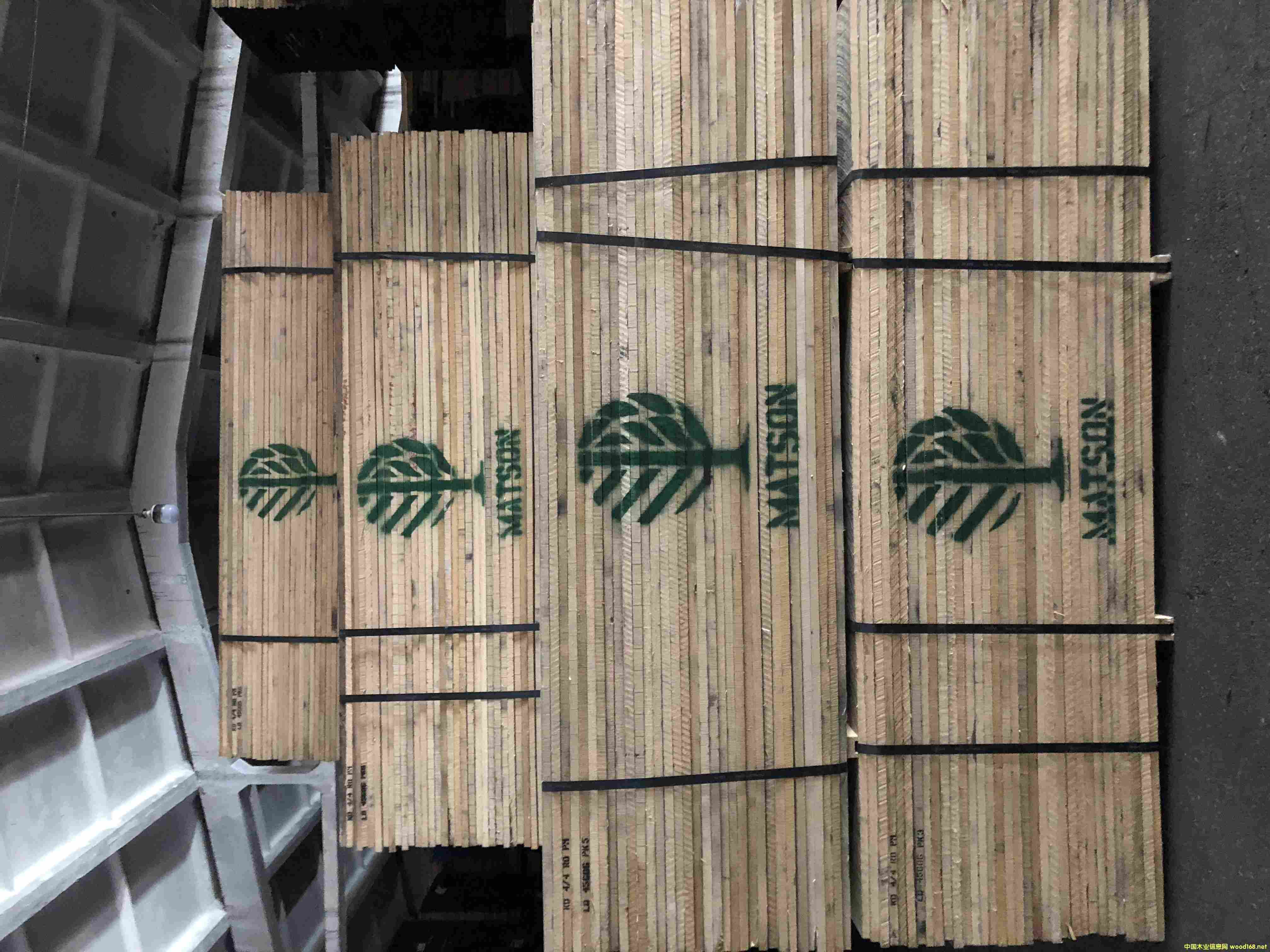 ��ɭ�t��ľ��Ԕ��(x��)��B