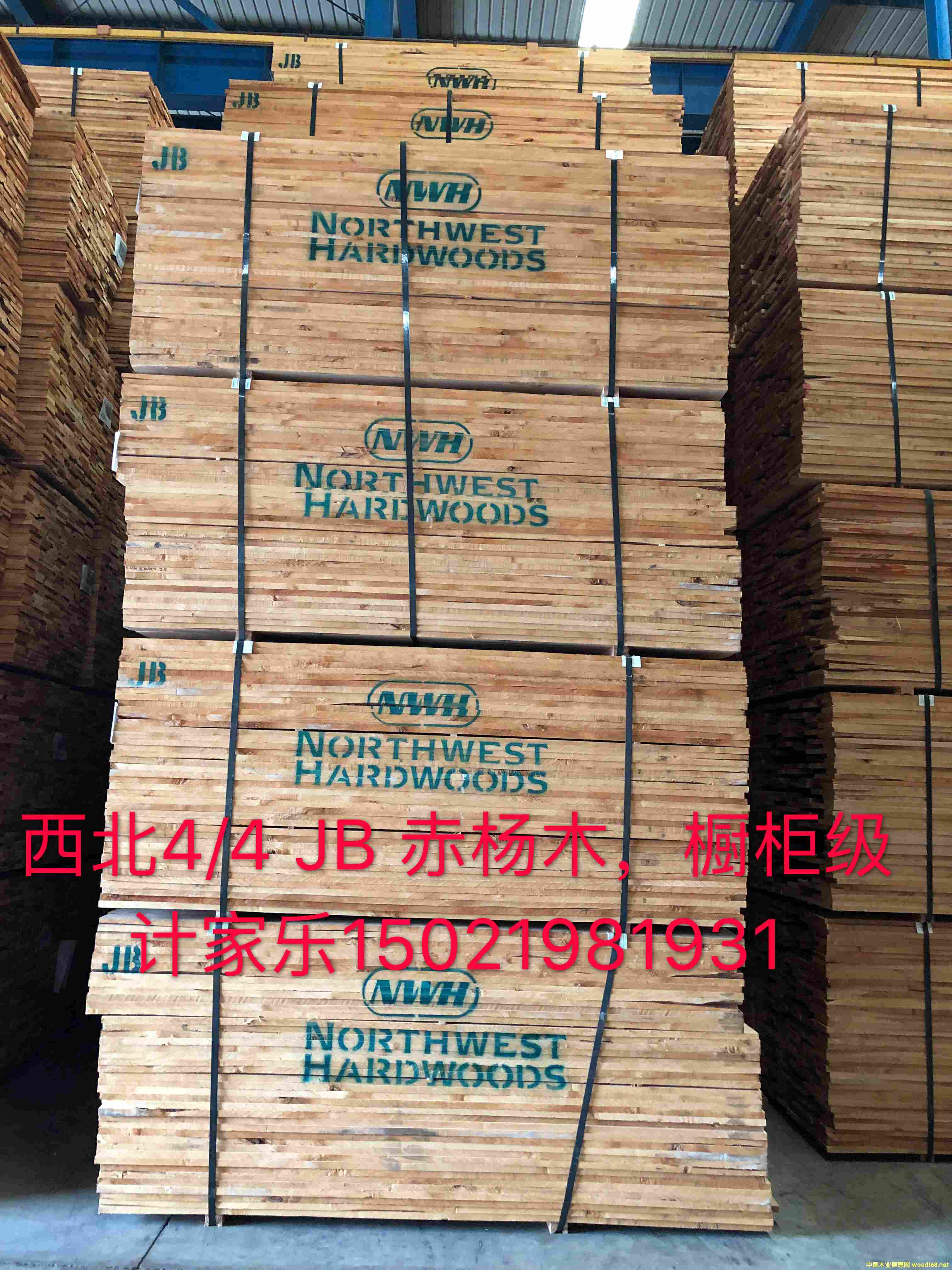 ����ľ��Ԕ��(x��)��B