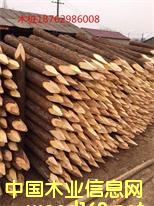 ɼľ���ӵ���ľ