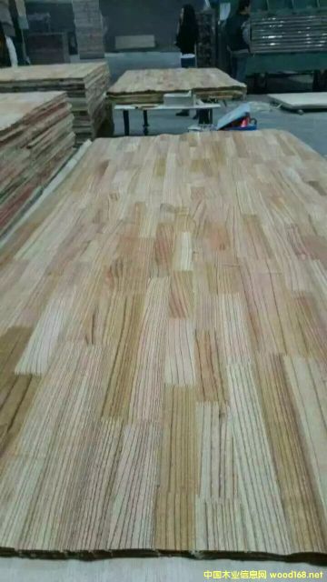 ���ľָ��Ƥ