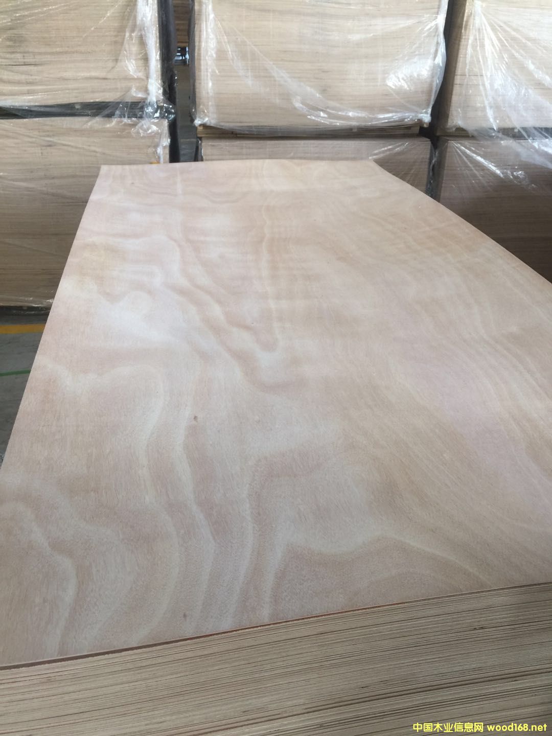 桃花芯的詳細(xì)介紹