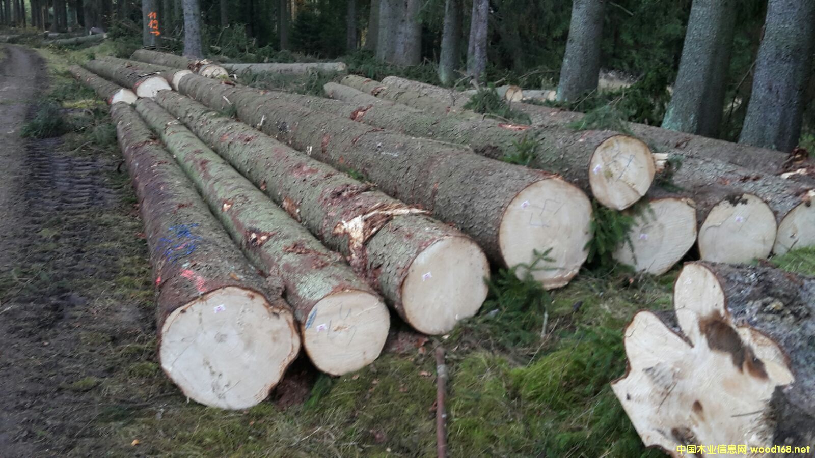 ��(gu��)��������ɼ