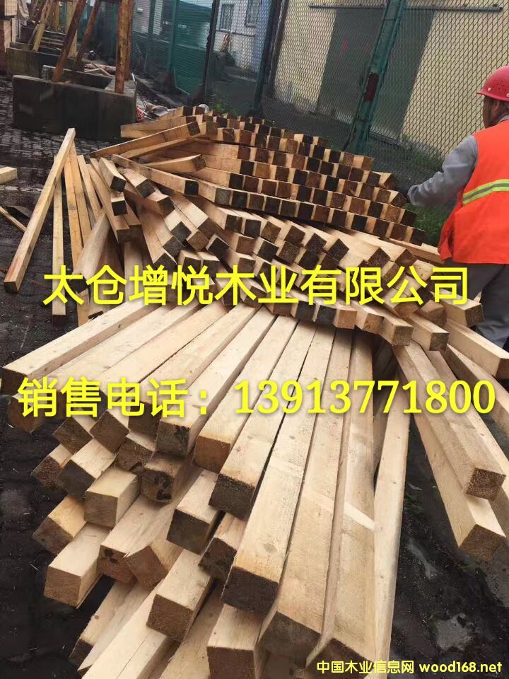 ̫�}���������� �Fɼ ݗ���� ����ľ�� �Fɼ���