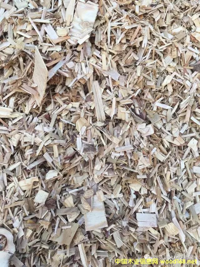 �羳��ُ�����_˹���~�����Іΰ�U��ľƬ