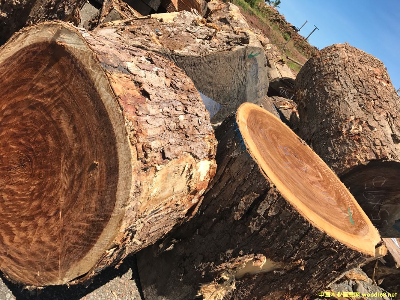 �S��ֱ�N �M(j��n)����ľ