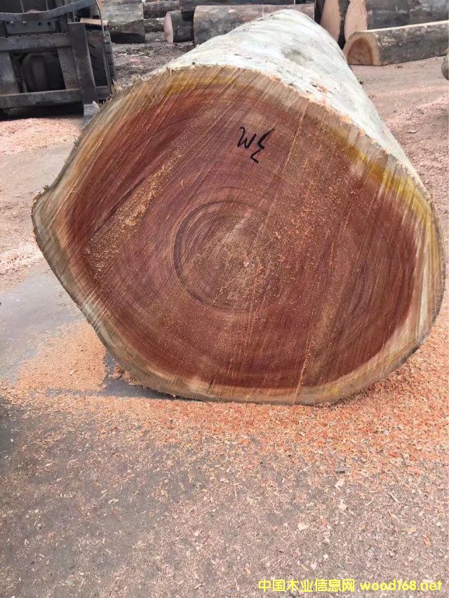 �R���̲�