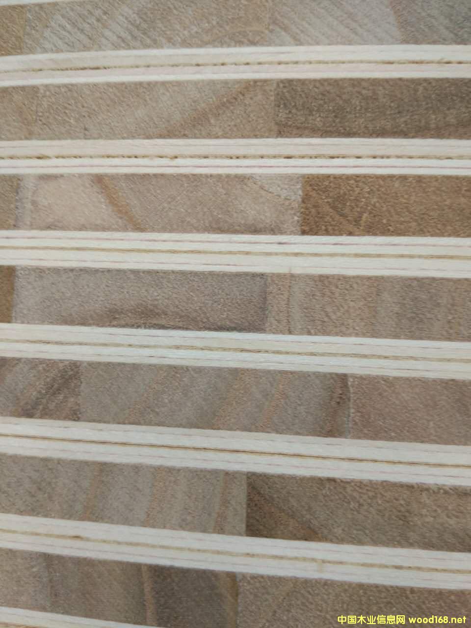 �p�z���B(t��i)���