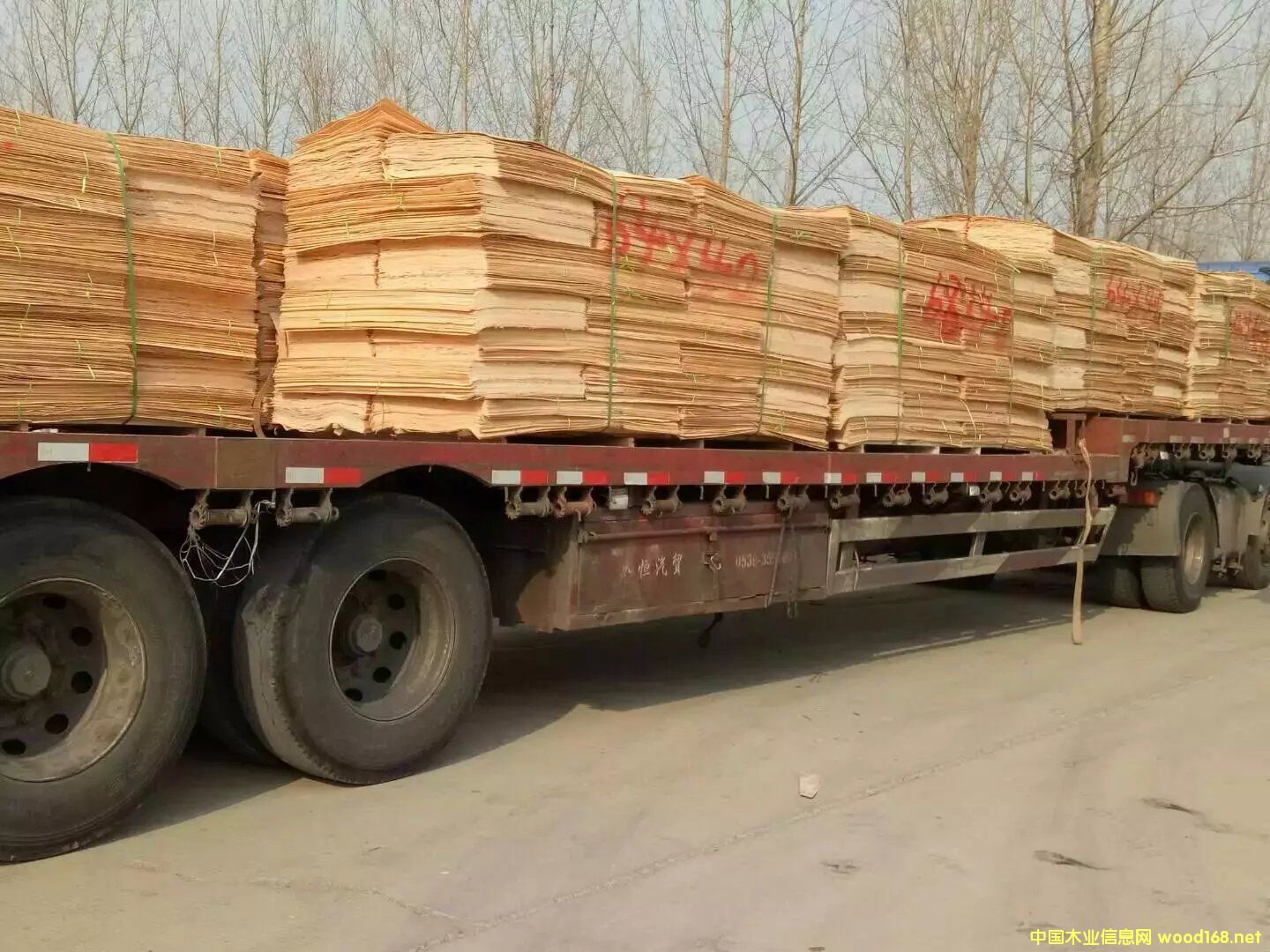 ��ľ��Ԕ��(x��)��B