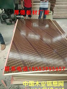 [��] ����ģ�����a(ch��n)��