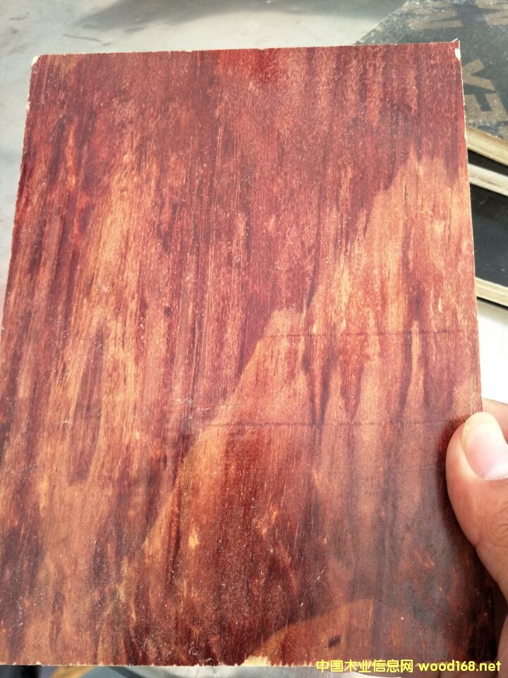 ��ȩ�z����ģ��