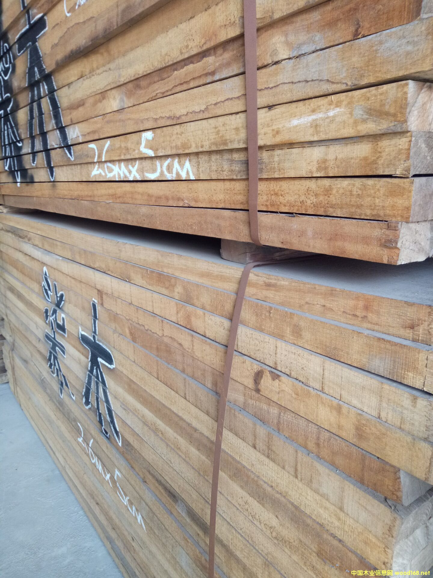 ������ľ��Ԕ��(x��)��B