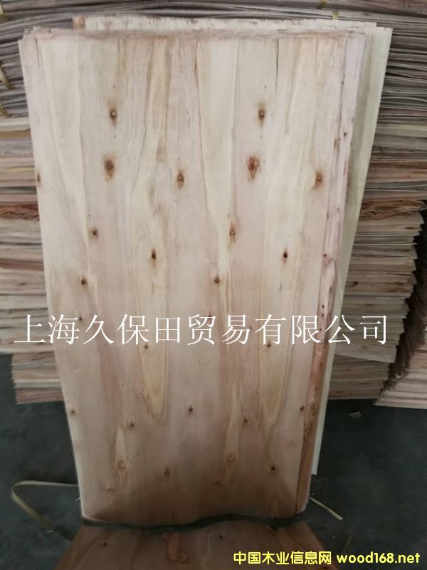 ��ľ�ΰ��Ԕ��(x��)��B