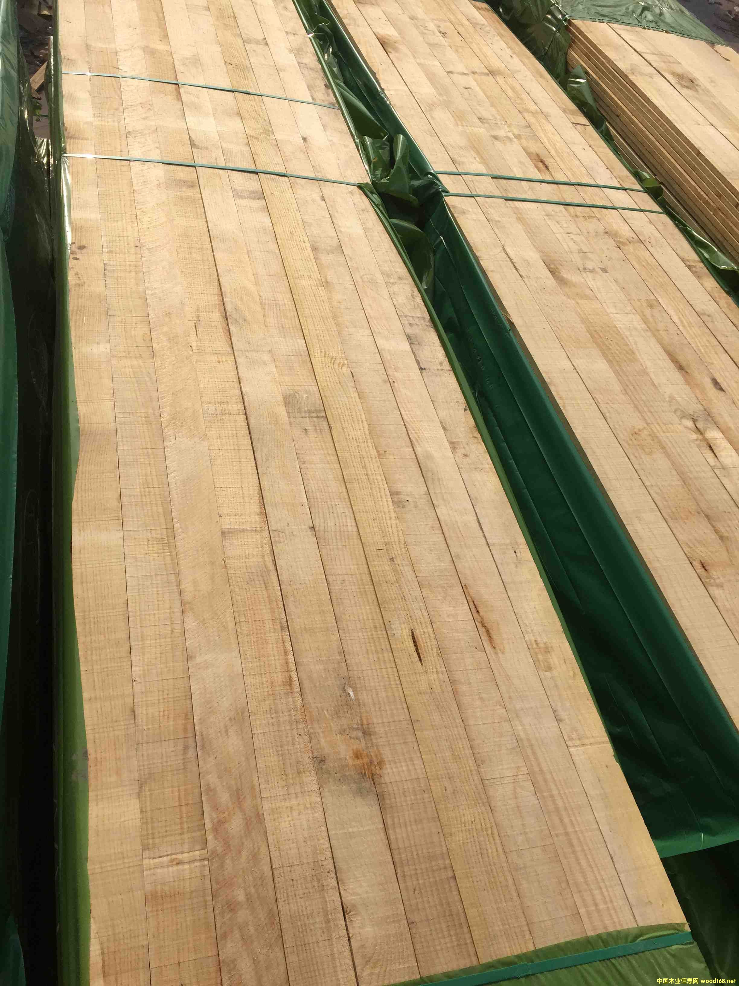 �����m�o��(ji��)������ݗ���ɵ�Ԕ����B