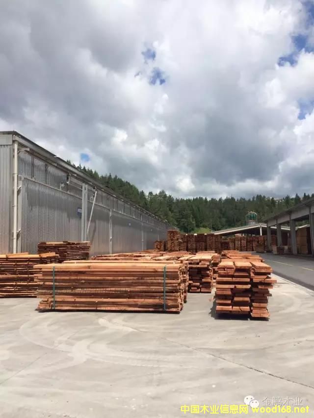 FSC��ľ��ĵ�Ԕ��(x��)��B