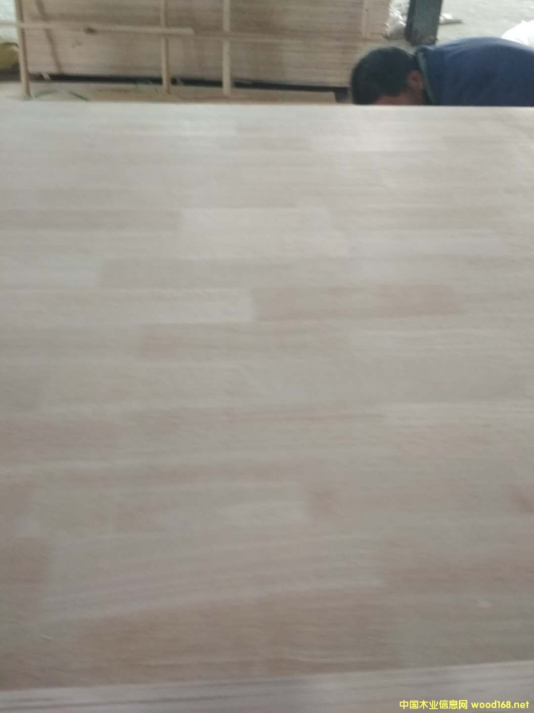 [��] �N������Ҿ߰�