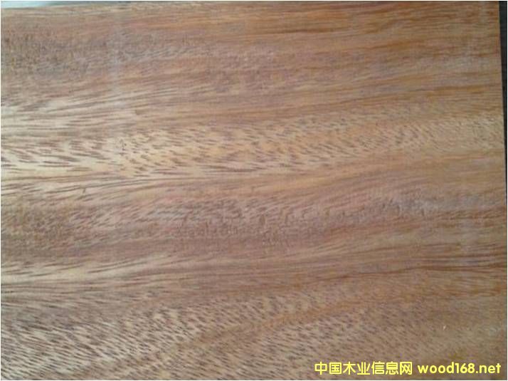 [��] ���� ���޲��}��