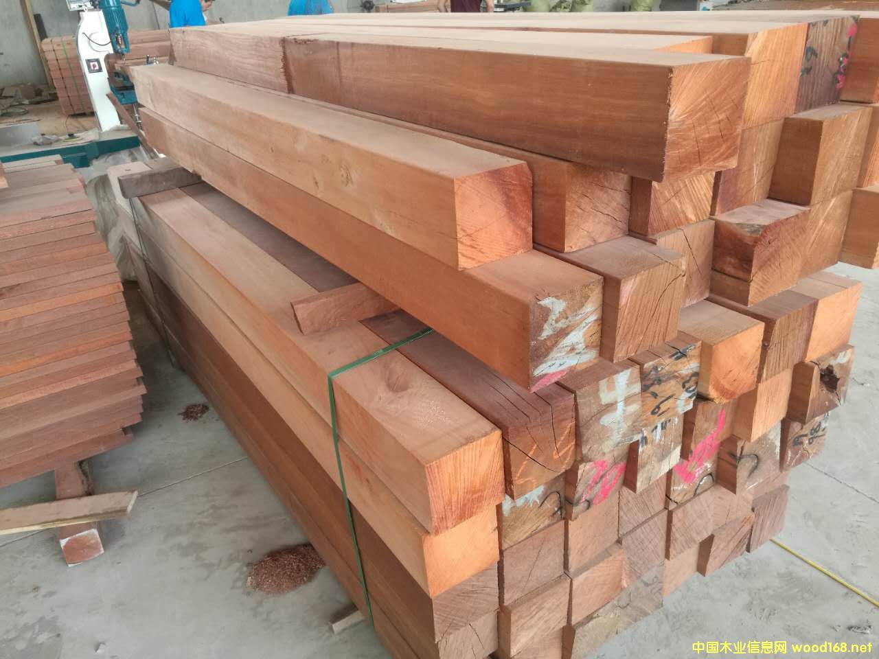 [��] ��Ħ��