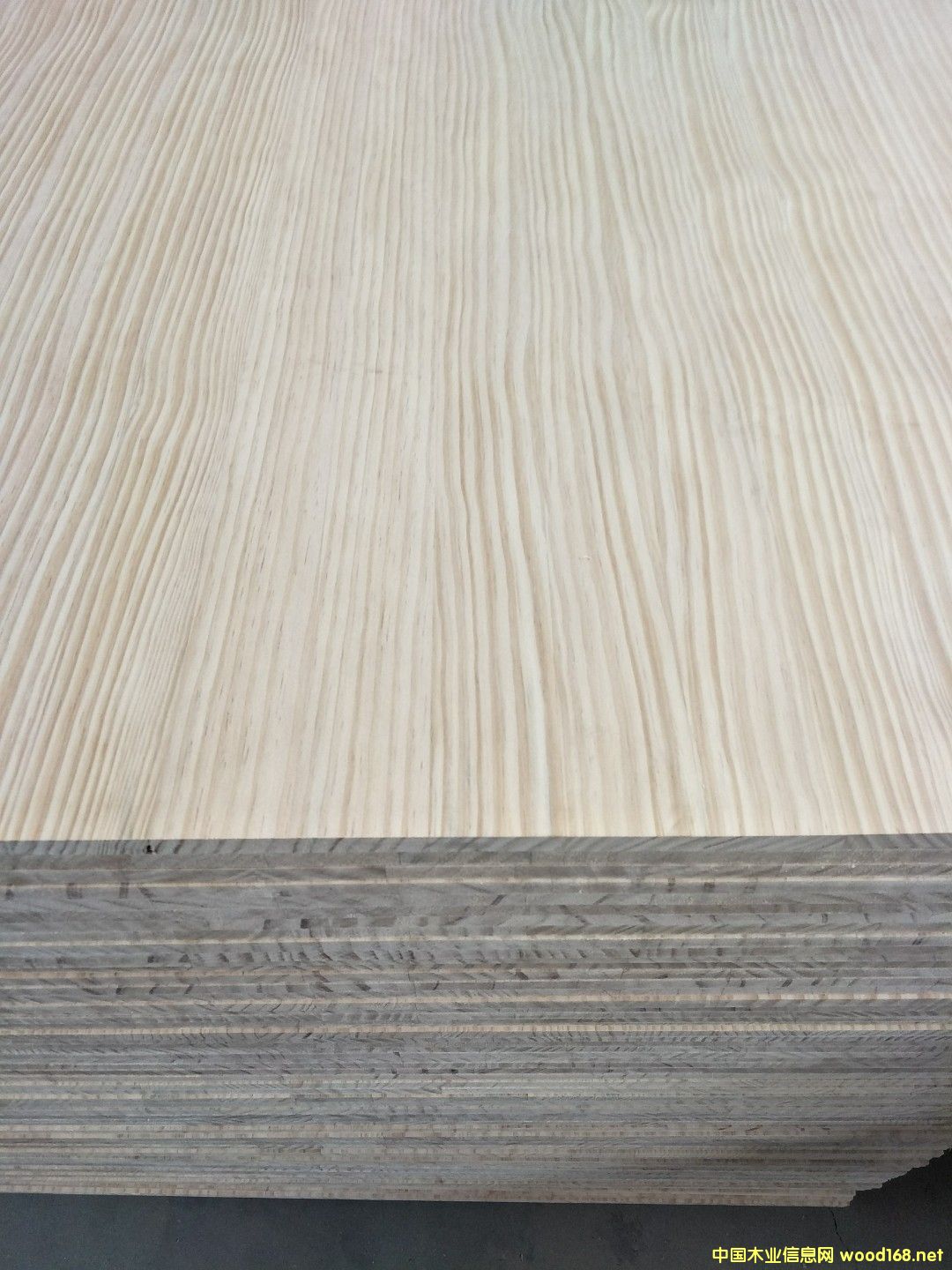 ݗ�x��ֱƴ���Ԕ��(x��)��B