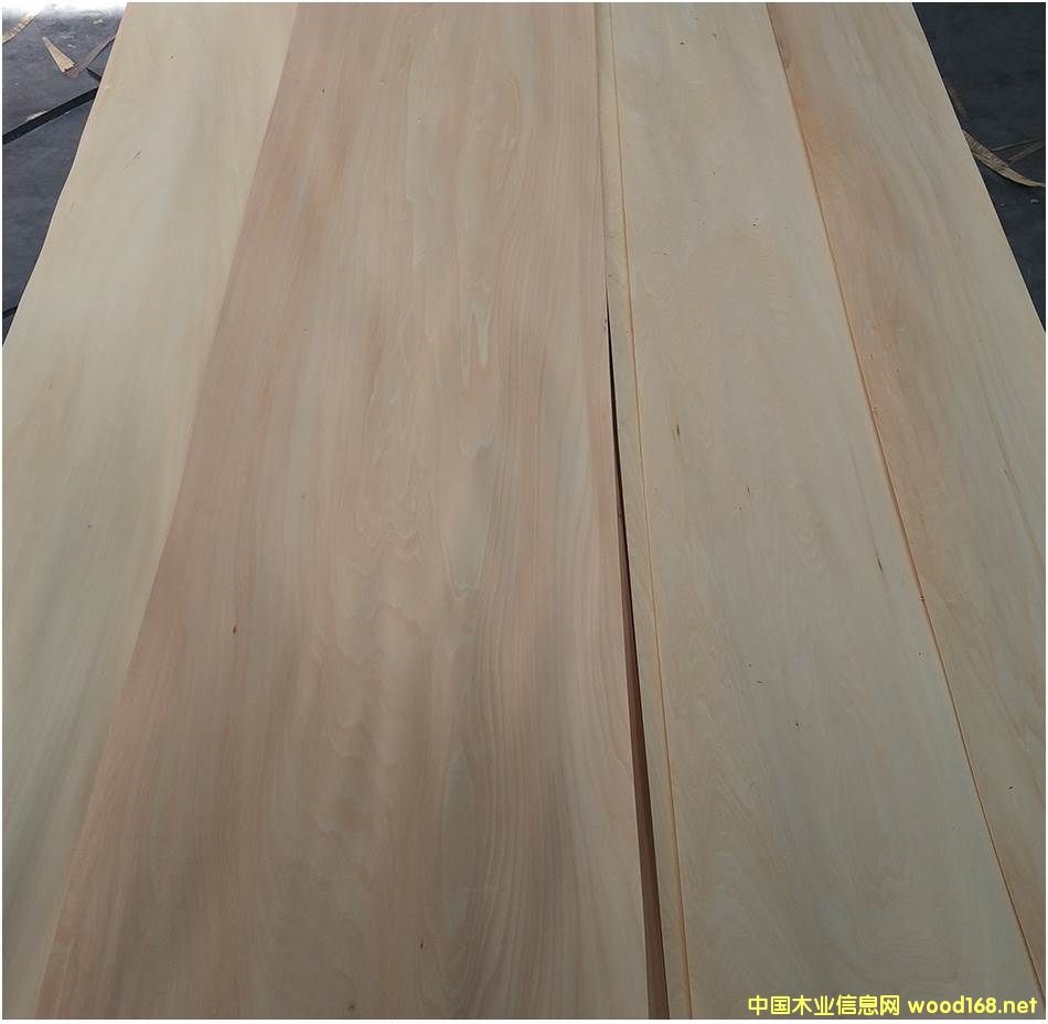 ���_˹�ľľƤ���е�Ԕ��(x��)��B