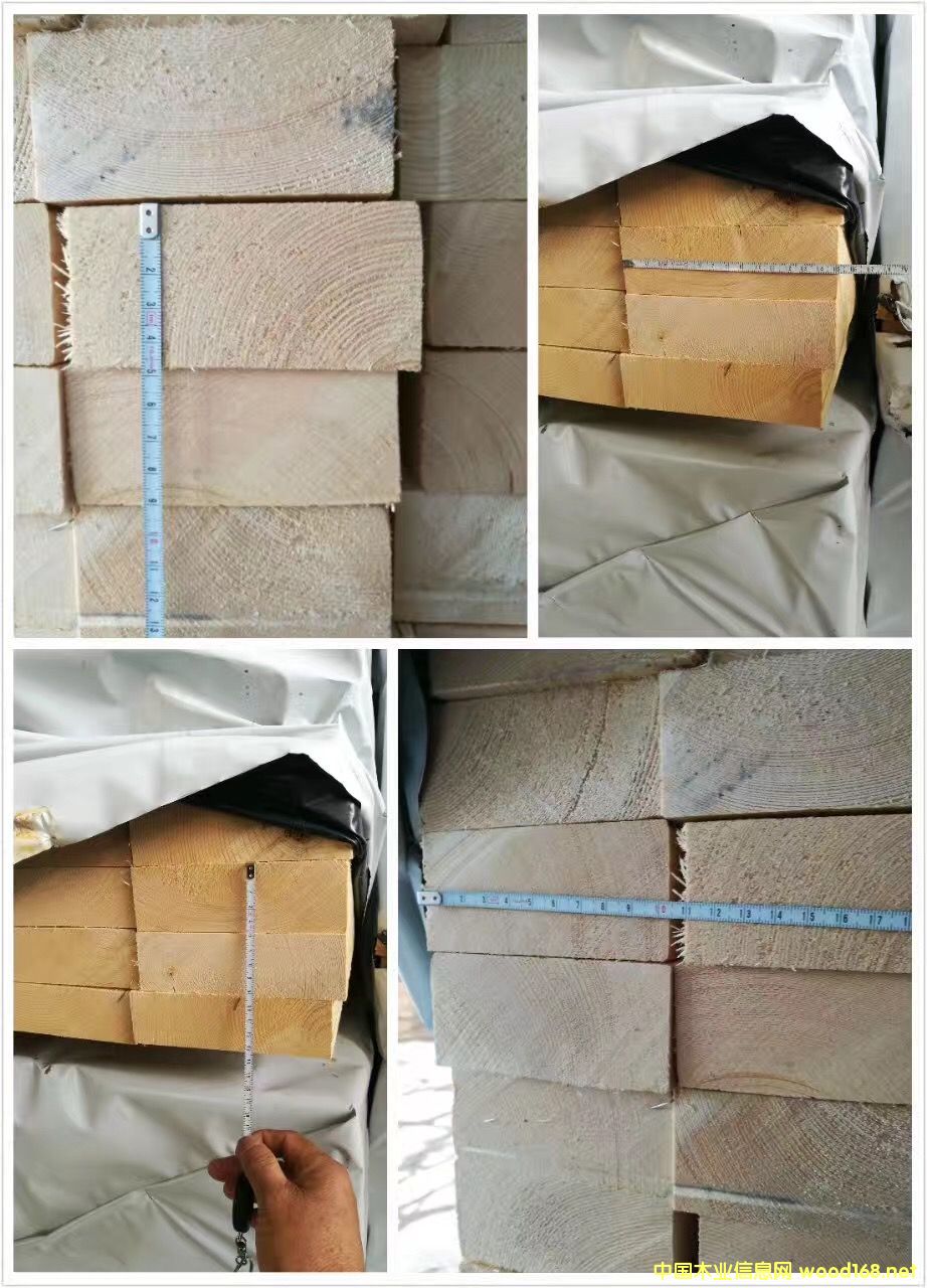 �µ����_˹��Ƥ��ɼ